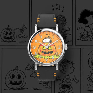 Timex Weekender Peanuts Snoopy Pumpkin Watch TW2Y12300