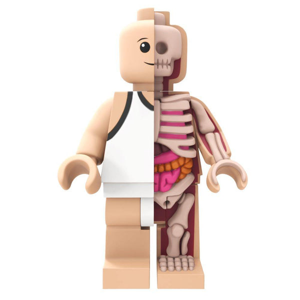 Mighty Jaxx Jason Freeny Bigger Micro Anatomic