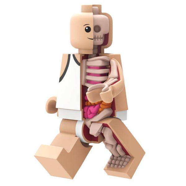 Mighty Jaxx Jason Freeny Bigger Micro Anatomic