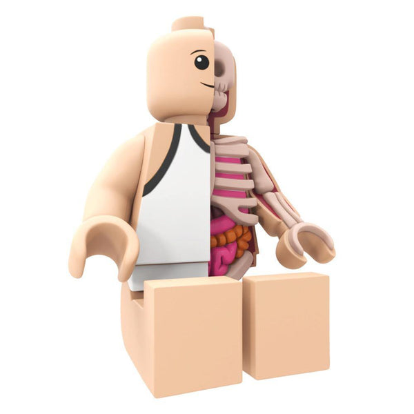 Mighty Jaxx Jason Freeny Bigger Micro Anatomic