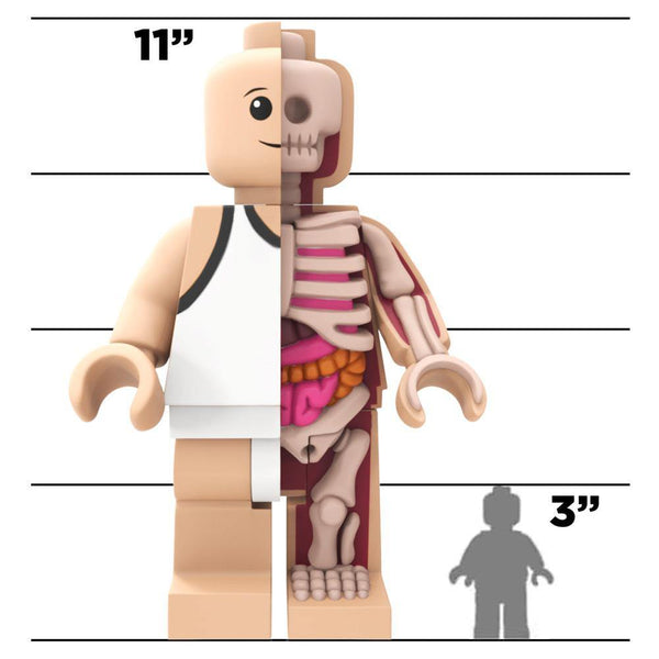 Mighty Jaxx Jason Freeny Bigger Micro Anatomic