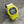 G-Shock Vivid Colours DW-5600TGA-9