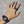 G-Shock Nano Ring Watch Black DWN-5600-1
