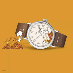 Timex Peanuts Snoopy Autumn TW2U86200