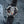 Timex x Peanuts Space Marlin Handwound TW2W89700