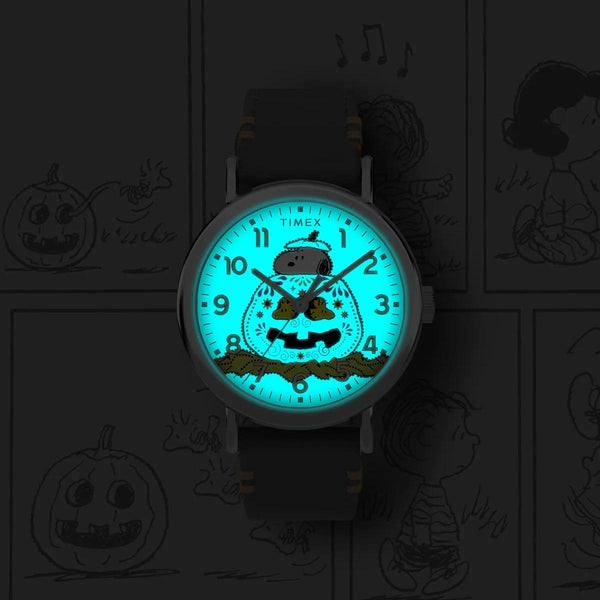 Timex Weekender Peanuts Snoopy Pumpkin Backlight TW2Y12300