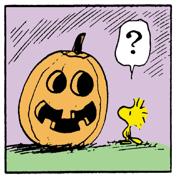Timex Weekender Peanuts Snoopy Pumpkin 