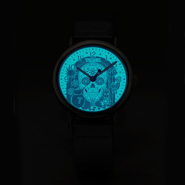 Timex Wednesday Day Of The Dead Watch TW2Y15900