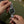 Timex Expedition Capstone Chronograph Watch TW2Y61200
