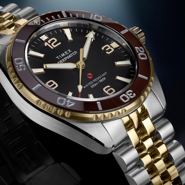 Timex Deepwater Arctic Watch TW2Y64700