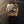 Timex 1976 Rotary Phone Dial Reissue Watch TW2Y82100