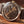 Timex Marlin Quartz GMT Brown Watch TW2Y84200