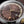Timex Marlin Quartz GMT Brown Watch TW2Y84200