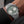 Timex Marlin Jet Chronograph Watch TW2Y89800