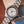 Pan Am x Timex Waterbury GMT Watch TW2Y94600