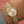 Timex x Peanuts Snoopy Heart Hug Gold Watch TW6A07400