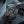 G-Shock Frogman Analog Watch GWF-A1000-1A
