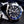 Casio Diving Series Black Blue Watch MDV107-1A2