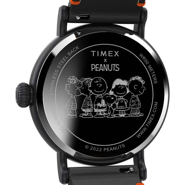 Timex Standard Peanuts Snoopy Watch TW2V60800